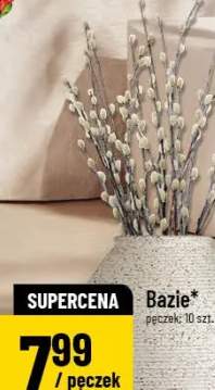 bazie
